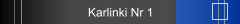 Karlinki Nr 1
