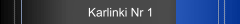 Karlinki Nr 1