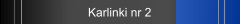 Karlinki nr 2